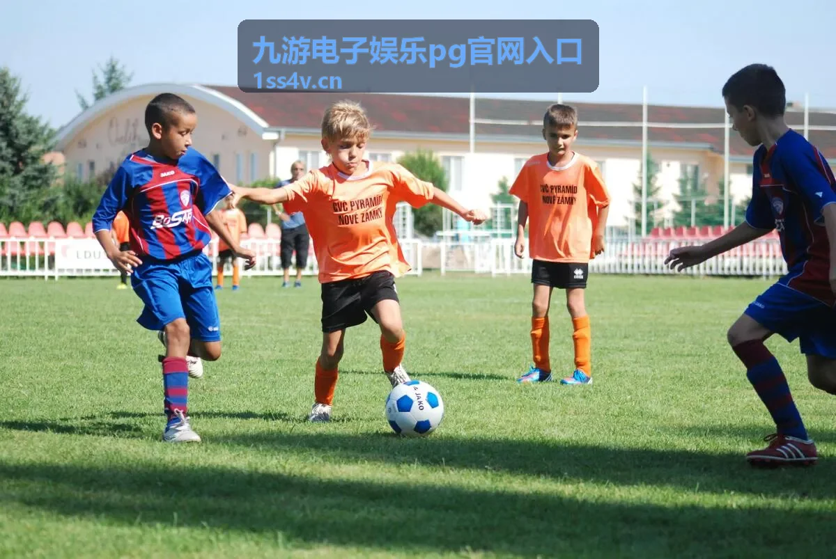 九游电子娱乐PG官网入口电子游艺术语速查图示