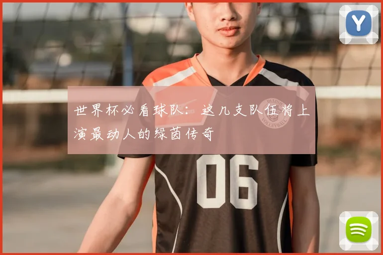 世界杯必看球队：这几支队伍将上演最动人的绿茵传奇