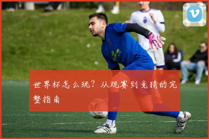 世界杯怎么玩？从观赛到竞猜的完整指南