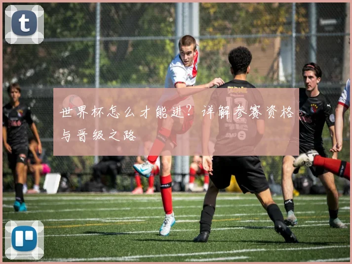 世界杯怎么才能进？详解参赛资格与晋级之路