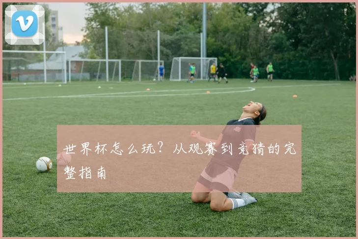 世界杯怎么玩？从观赛到竞猜的完整指南